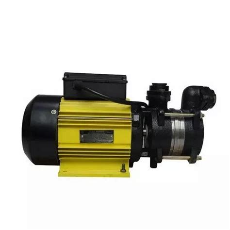 Cri Single Phase Hp Selfpriming Monoblock Pumpset Dhoom Ib