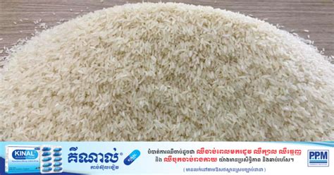 Milled Rice Exports Top 327 Million In 9 Months Cambodianess