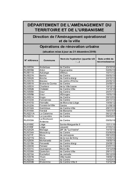 Remplissable En Ligne RAPPORT NATIONAL SUR LA MISE EN OEUVRE DU