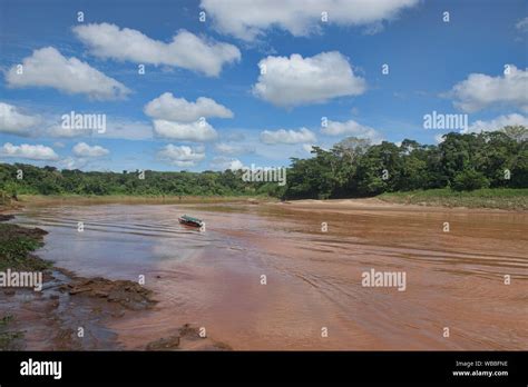 Navigating the Tambopata River, Tambopata National Reserve, Peruvian ...