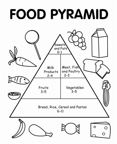 Food Pyramid Worksheet For Grade 1