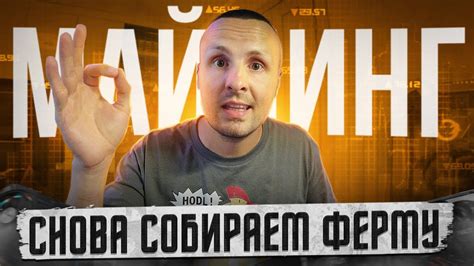 ️ МАЙНЕРЫ СНОВА ВЗЯЛИСЬ ЗА СБОРКУ МАЙНИНГ ФЕРМ ️ - YouTube
