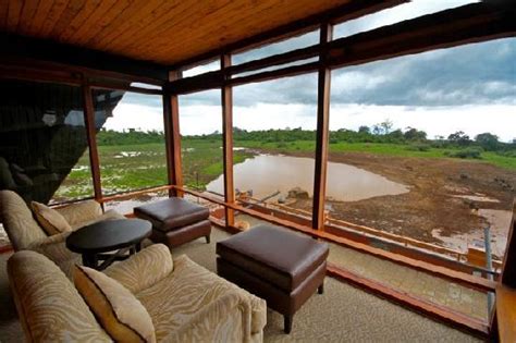 The Ark Updated Prices Hotel Reviews Kenya Aberdare National