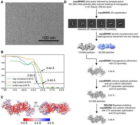 Figure Supplement Cryo Em Image Processing Workflow For