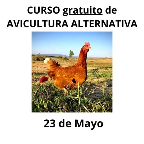 Curso Gratuito De Avicultura Alternativa Granja Pinseque