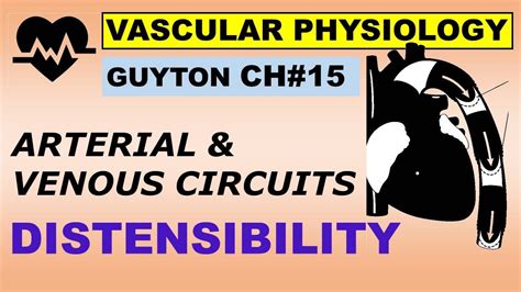 Physiology Guyton Ch Vascular Distensibility Functions Of