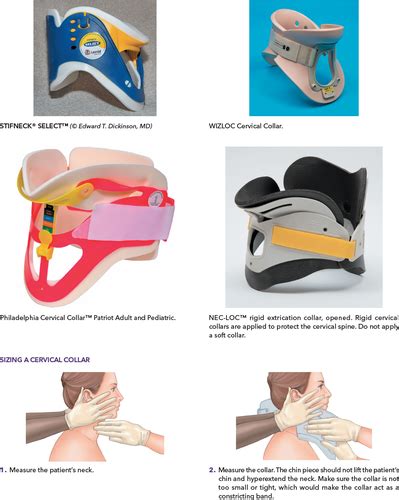 Emt Class Chapter 15 Secondary Assessment Pt5 Flashcards Quizlet