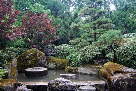 Cecil, Mabel & Maude — cityhoppersgarden: Botanic Gardens, Augsburg,...