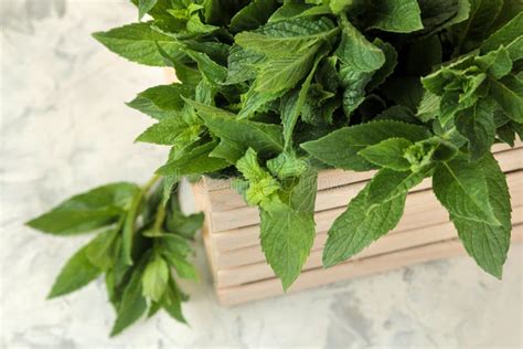 Menta Hojas Y Ramas De La Menta Salvaje Verde Fresca En Una Caja En Una