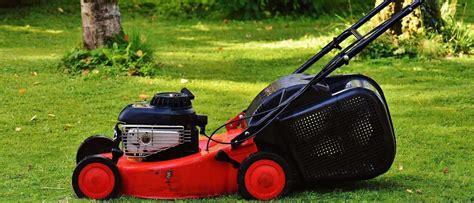 Tips To Find The Best Lawn Mower For Small Yard