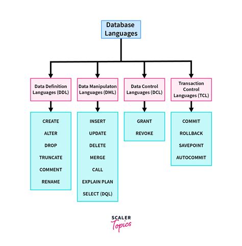 Database Languages In DBMS Scaler Topics