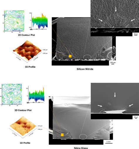 Fracture Surface Of Silicon Nitride And Silica Glass Observed Using A