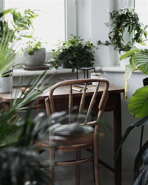 Desk surrounded by lush indoor plants // Photography credit: M A R G O ...