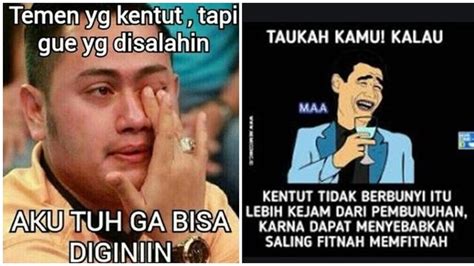 Detail Foto Foto Meme Lucu Koleksi Nomer 15