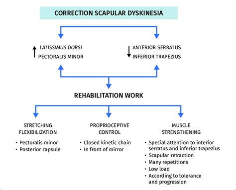 Measures destined to correct scapular dyskinesia following arthroscopic ...