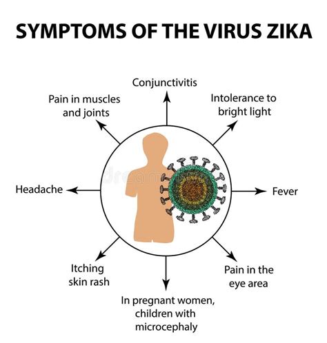 Zika Virus Structure Zika Virus Infection Sexually Transmitted