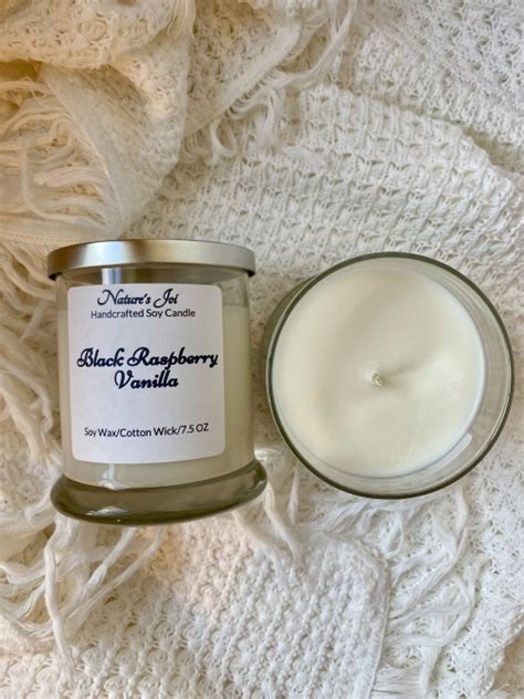 Black Raspberry Vanilla Candle Nature S Joi