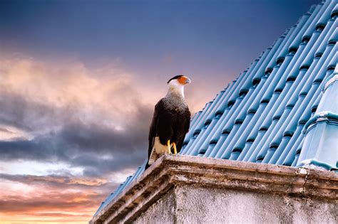 O QUE FAZER EM ARACAJU EM 7 DIAS Axa Noticias