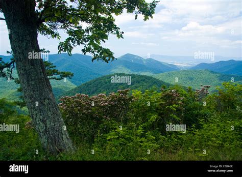 View from Skyline Drive, Virginia, USA Stock Photo - Alamy