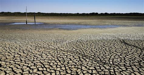 Doñana se seca por completo