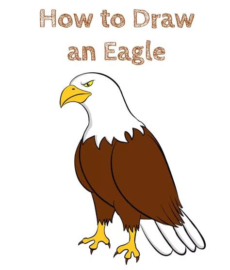 How To Draw A Eagle For Kids | EASY DRAWING STEP