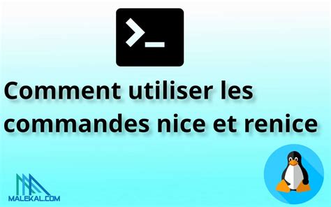 Comment Utiliser Les Commandes Nice Et Renice Sur Linux Pour D Finir