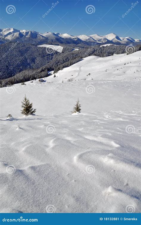 Winter on a hillside. stock image. Image of snowdrift - 18132881