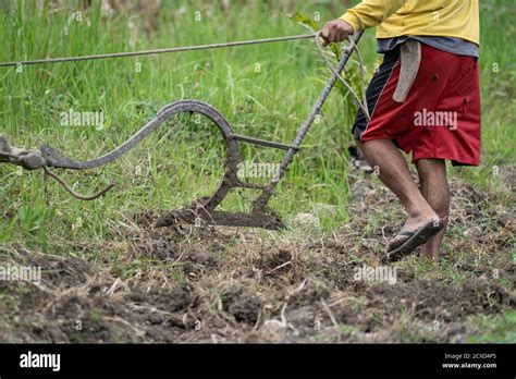 Traditional plough hi-res stock photography and images - Alamy