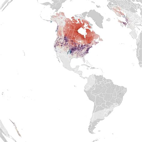 Canadian Geese Migration Map 2021 Outlet Clearance