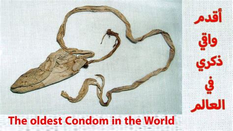 The oldest Condom in the World أقدم واقي ذكري في العالم هل كان واقي