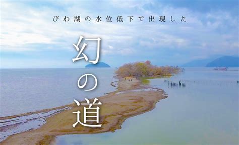 びわ湖に“幻の道”が出現！水位低下でびわ湖はどうなった？ しがトコ