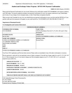 Fillable Online Department Of Homeland Security Form I 901 Application