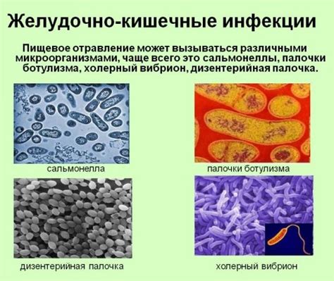Нестожен 1, 2, 3 смесь: низколактозный, кисломолочный, гипоаллергенный ...