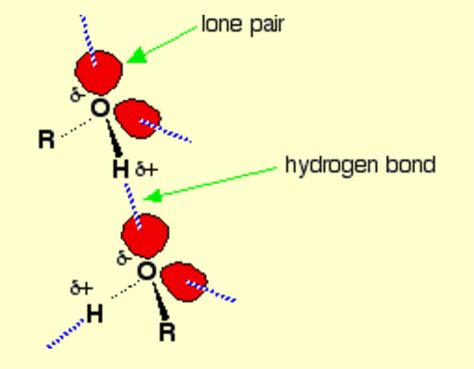 How many hydrogen bonds in these compounds? - Chemistry Stack Exchange