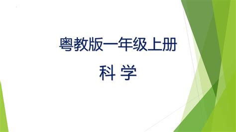 粤教粤科版（2017秋）一年级科学上册 11 走进大自然（课件）共23张ppt 21世纪教育网