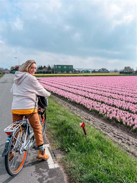 How to Visit the Tulip Fields Near Amsterdam (2024) - Find Love and Travel