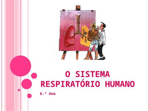 PPT O sistema respiratório h DOKUMEN TIPS