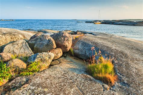 Fotokonst Landskap Sk Rg Rd Blommor P Kal Klippa Vid Havet Mats