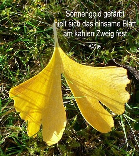 Gedicht Herbstzeit Von Sieghild Krieter Herbst Bei E Stories De