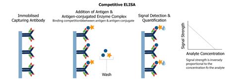 Competitive Antigen Elisa