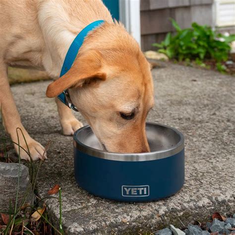 Yeti Boomer 8 Cup Dog Bowl Seafoam Ecs Coffee