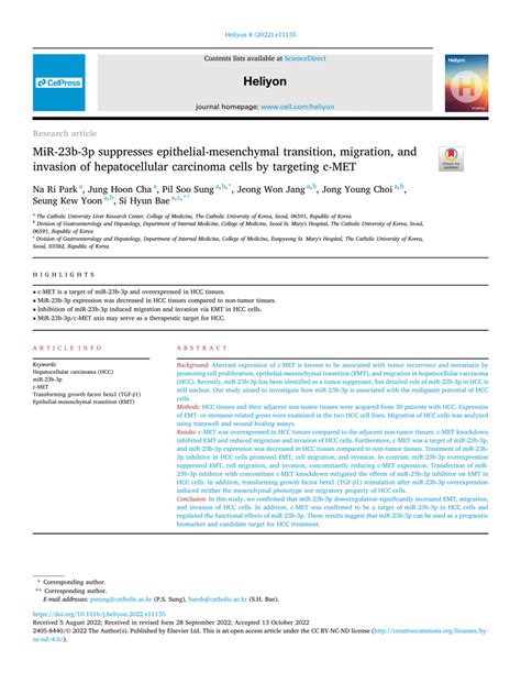 Pdf Mir B P Suppresses Epithelial Mesenchymal Transition