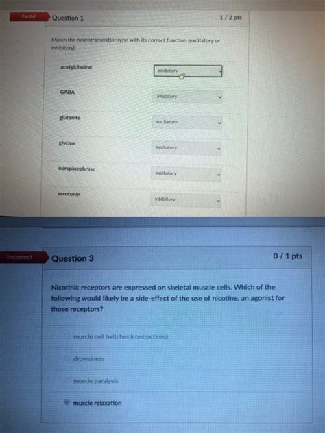 Solved Partial Question 1 1/2 pts Match the neurotransmitter | Chegg.com