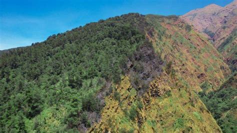 Titik Api Kebakaran Di Lereng Merbabu Padam Sejak Jumat Pagi