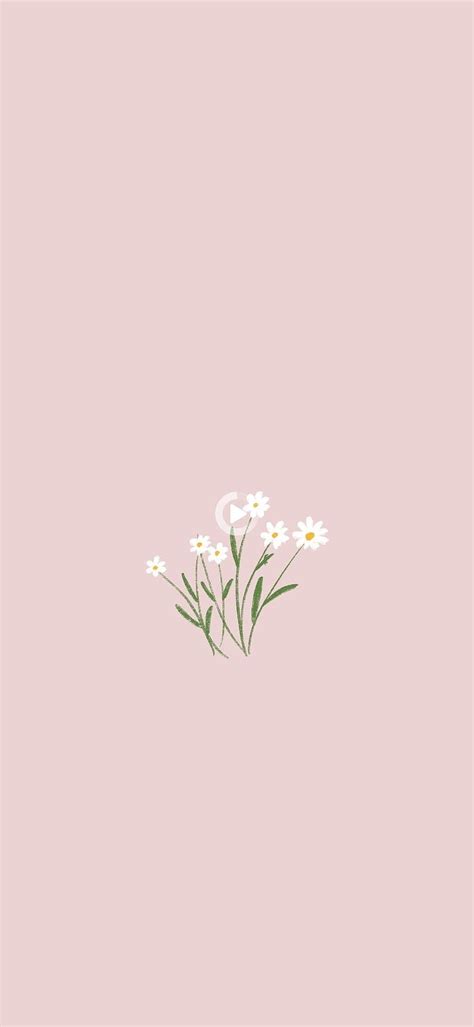 Redirecting In Minimal Flower Hd Phone Wallpaper Pxfuel