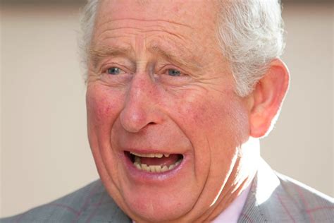 Prince Charles Camilla latest news job ad: Here are their demands.