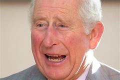 Prince Charles Camilla