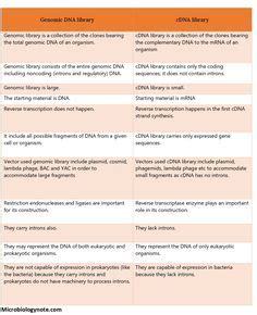 8 Differences Ideas Dna Sequence Reverse Transcriptase Prokaryotes