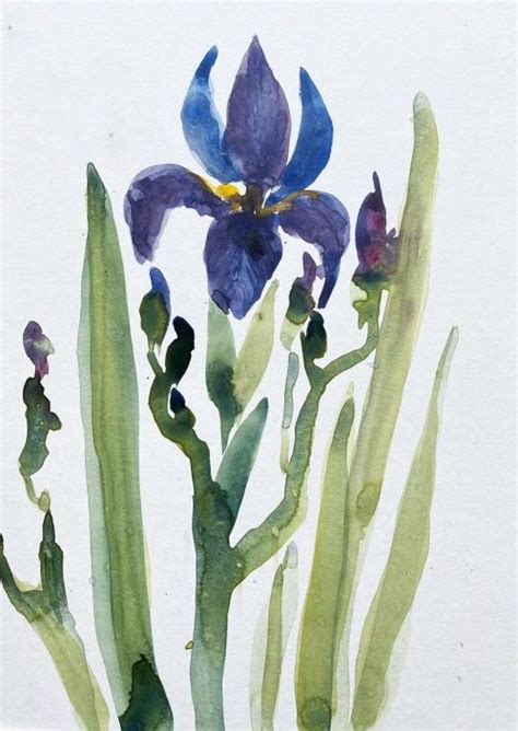 Blaue Iris - Aquarell - Blume - Malen am Meer®