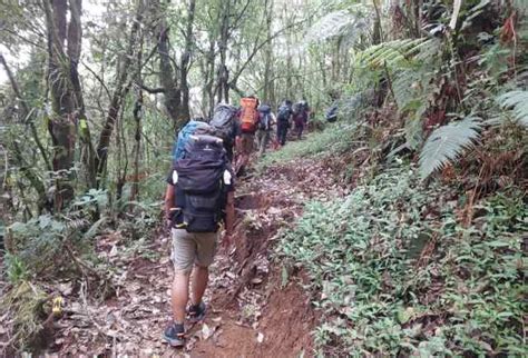 Pembukaan Jalur Pendakian Gunung Lawu Setelah Kebakaran Dan Tips Saat